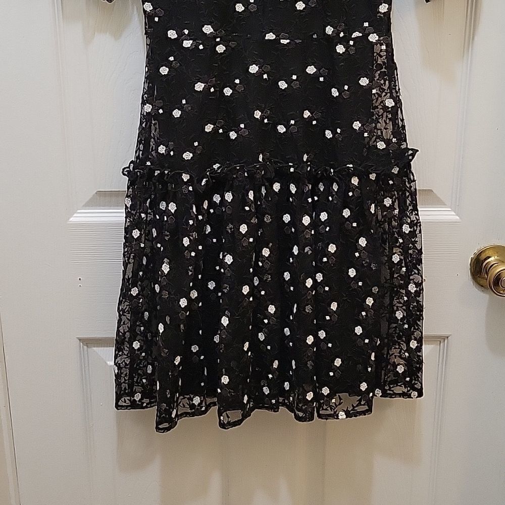 Pearl Lela Rose Embroidered Lace and Tulle Flounce Dress - Picture 4 of 16